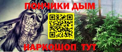 мдпв Жуковский
