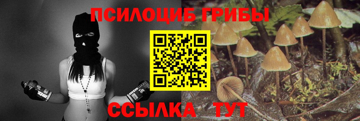 Галлюциногенные грибы мухоморы  Псилоцибиновые грибы Psilocybine cubensis  Магнитогорск  Вход с VPN 